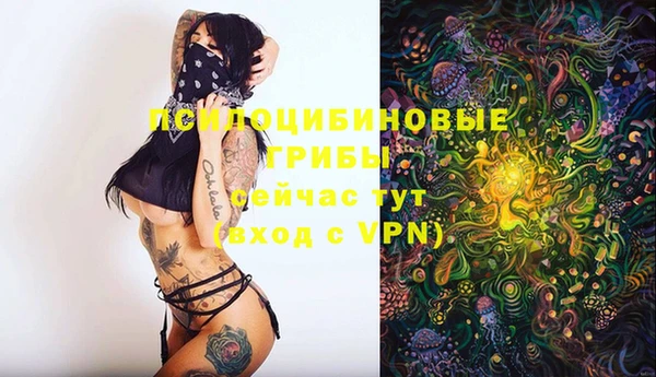 гидропоника Аркадак
