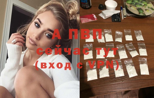 гидра Арсеньев